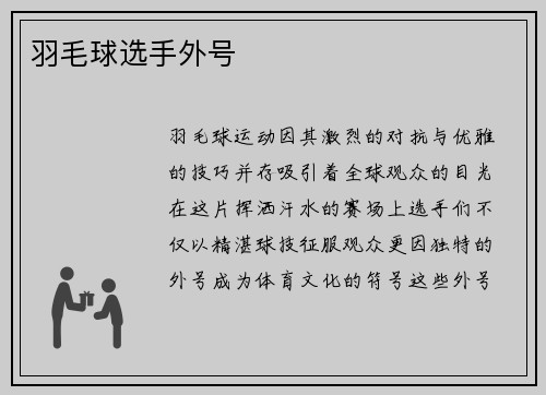 羽毛球选手外号